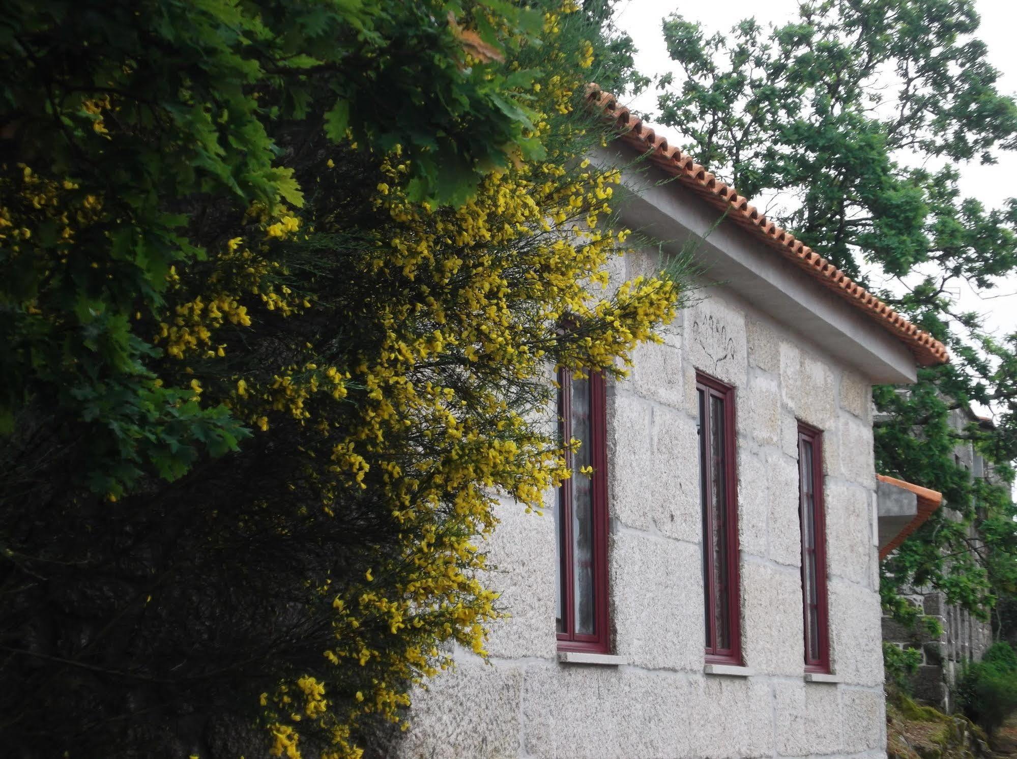 Casa Do Tear Villa Macieira de Alcoba Ngoại thất bức ảnh
